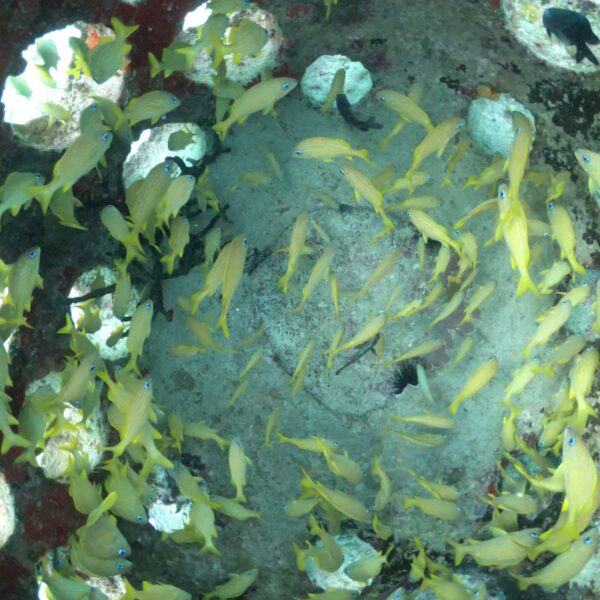 PHOTO-2025-07-22-13-36-39(7)