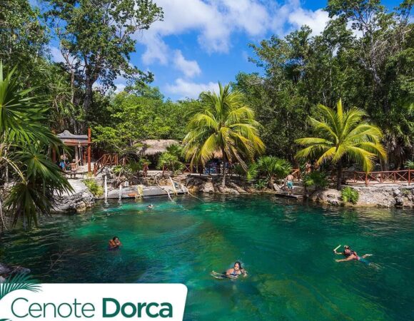 Cenotes casa Tortuga Tulum