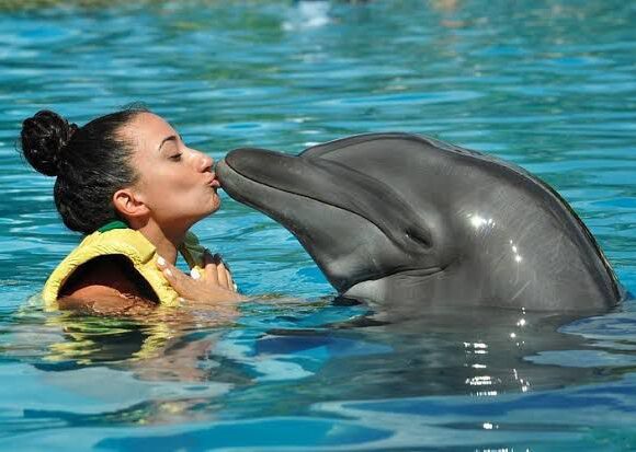 Dolphinario Puerto Aventuras