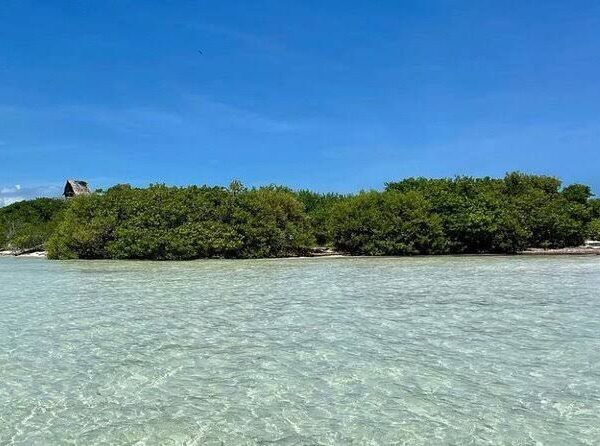 PHOTO-2025-07-22-13-54-08